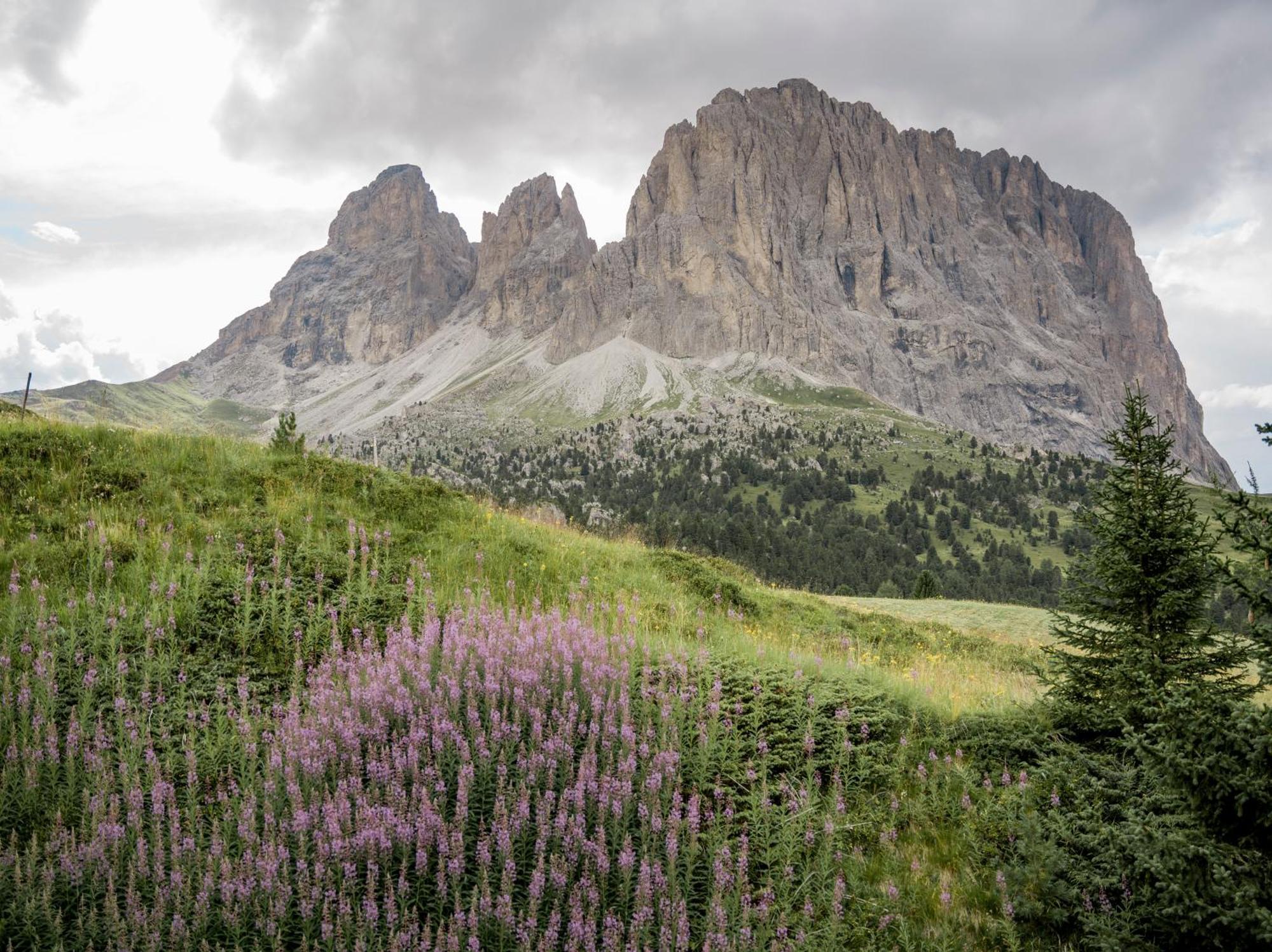 Charme Hotel Uridl Santa Cristina Val Gardena Екстериор снимка